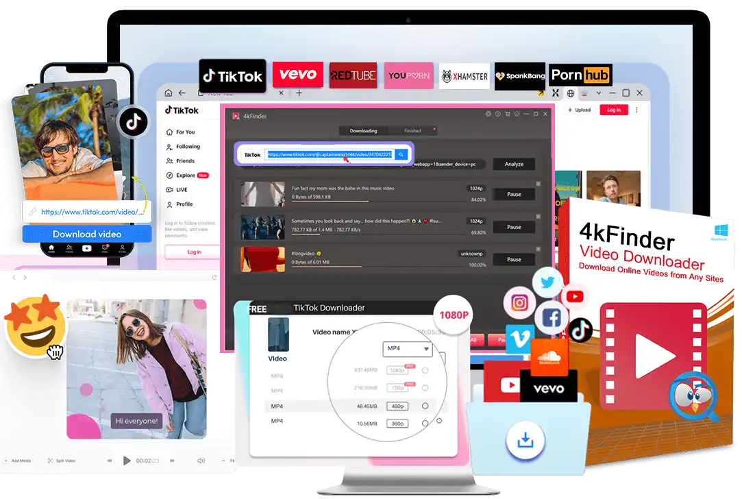 All-in-One tiktok Video Downloader