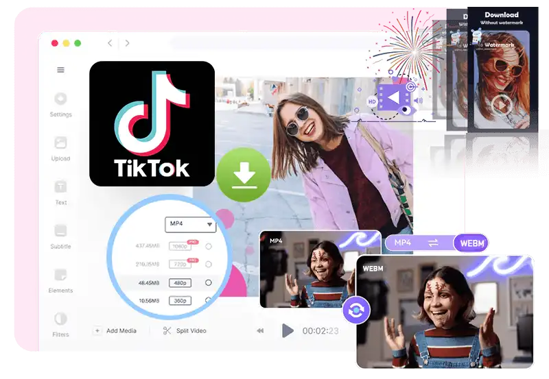 TikTok Videos to MP4/WEBM
